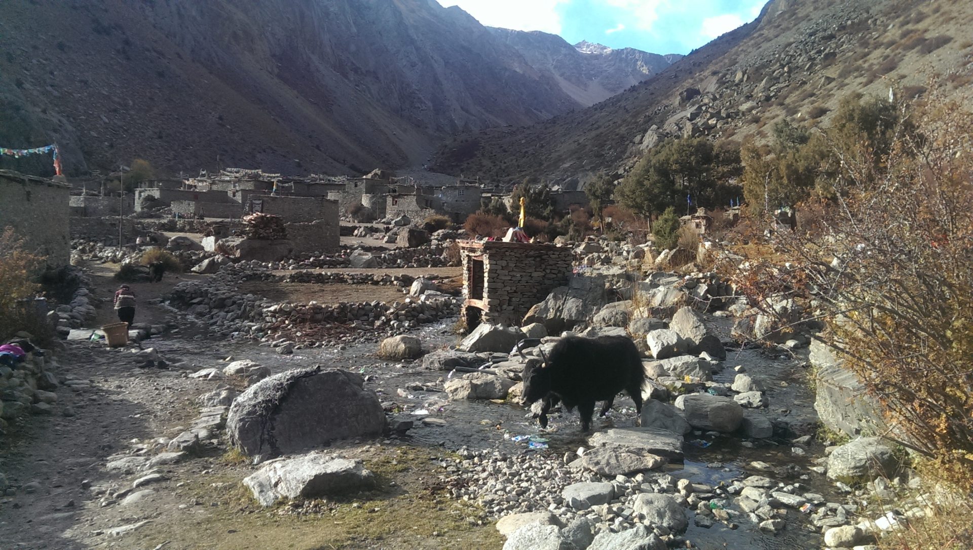 Limi Valley Trek