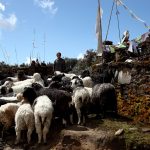 Hatiya and Topkegola trek