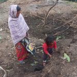 Story of Barsa