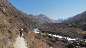 Solo trekker trekking during Langtang Trek