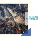 Honey Hunting in Nepal: Mad Honey & Ancient Traditions