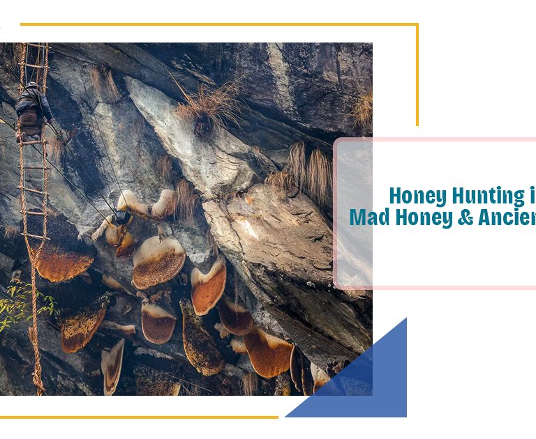 Honey Hunting in Nepal: Mad Honey & Ancient Traditions