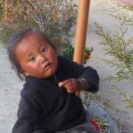 Booking a trekking tour