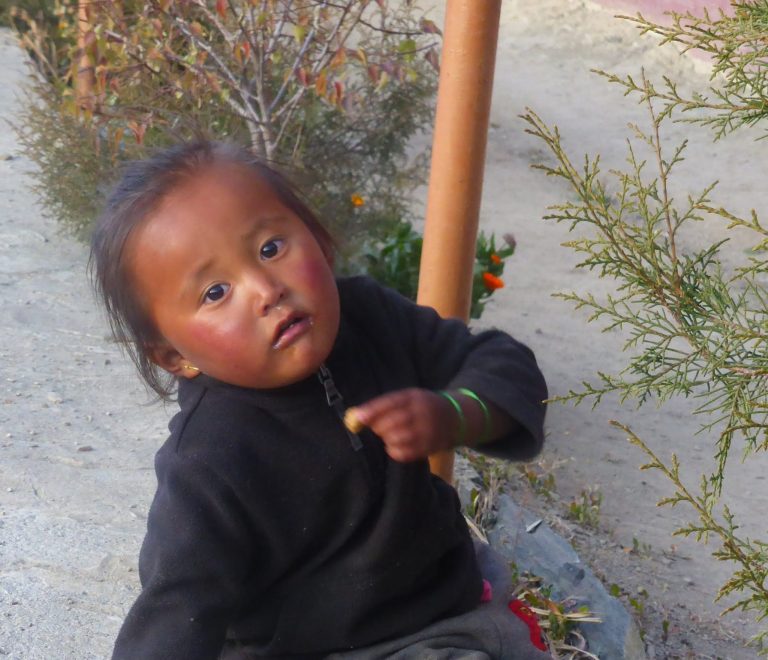 Booking a trekking tour