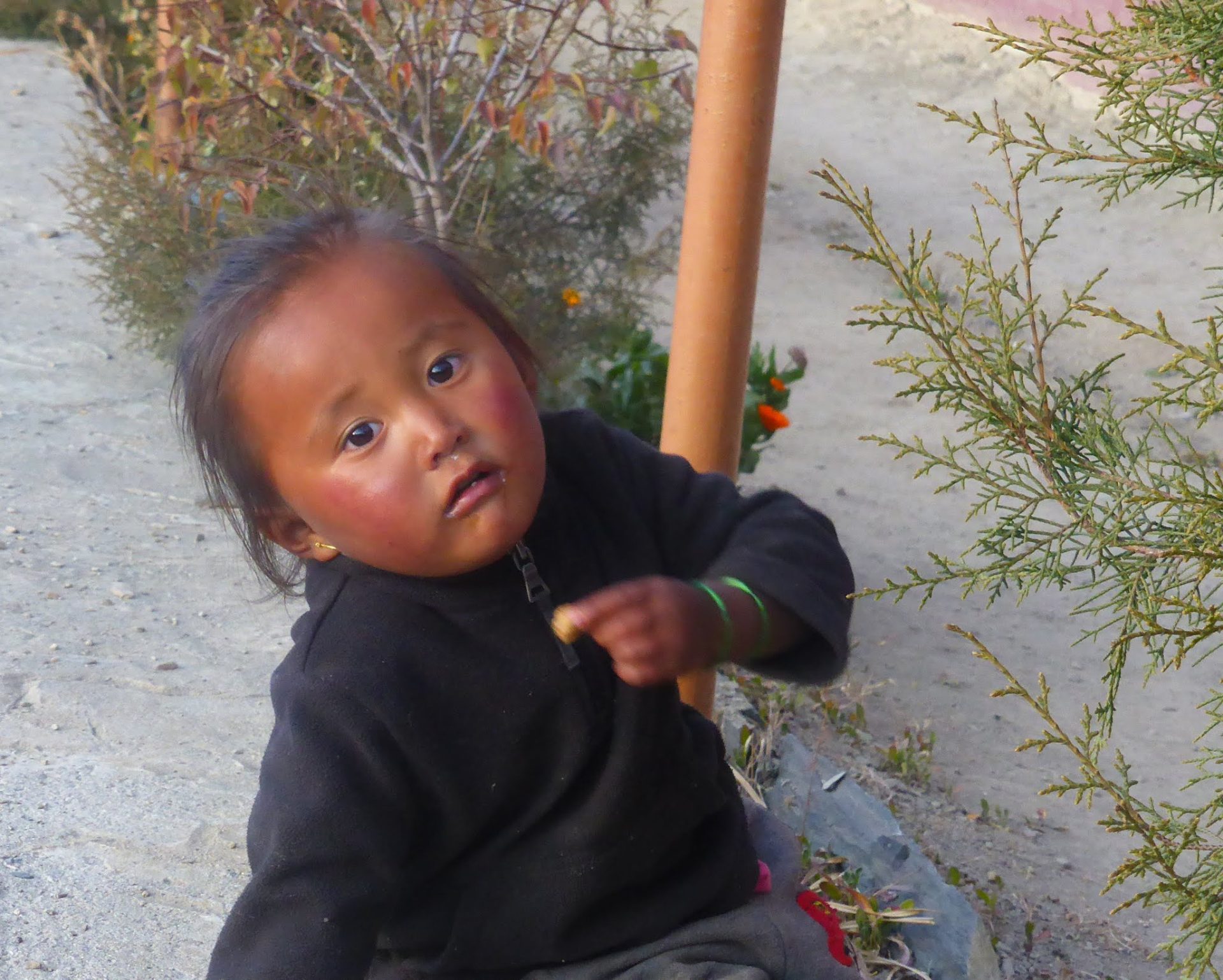 Booking a trekking tour