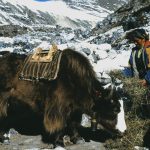 The Complete Guide to Everest Base Camp Trek