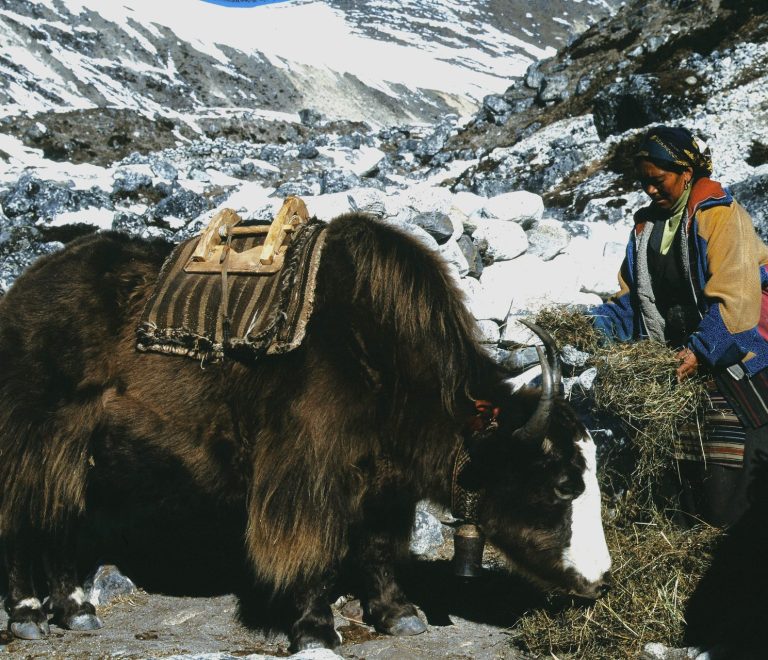 The Complete Guide to Everest Base Camp Trek