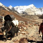 Top 10 Treks in Nepal for Beginners and Families