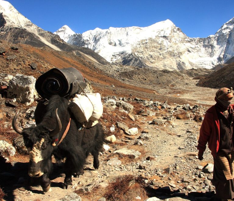 Top 10 Treks in Nepal for Beginners and Families (2026 Guide)