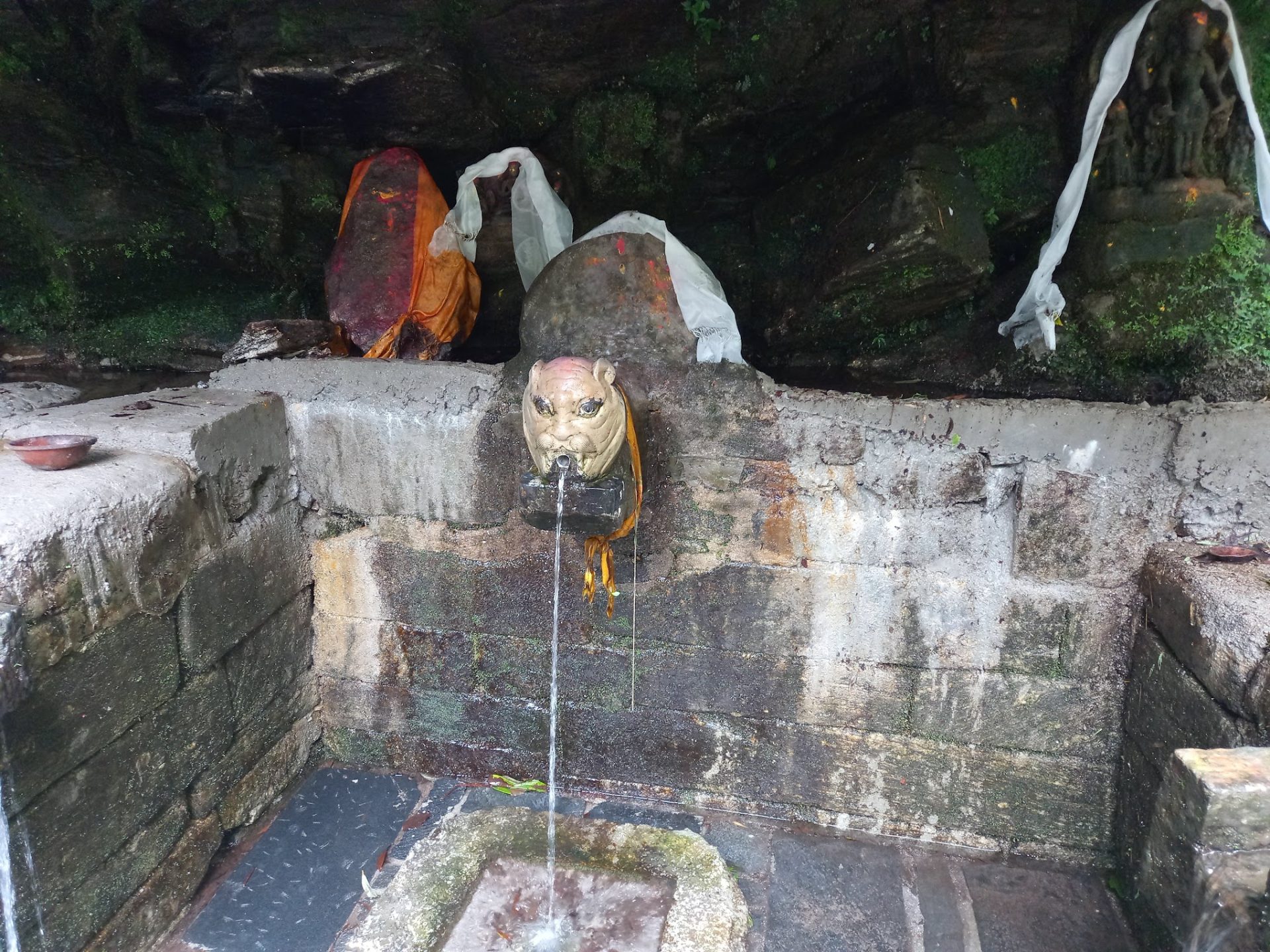 Hiking to Bagdwar